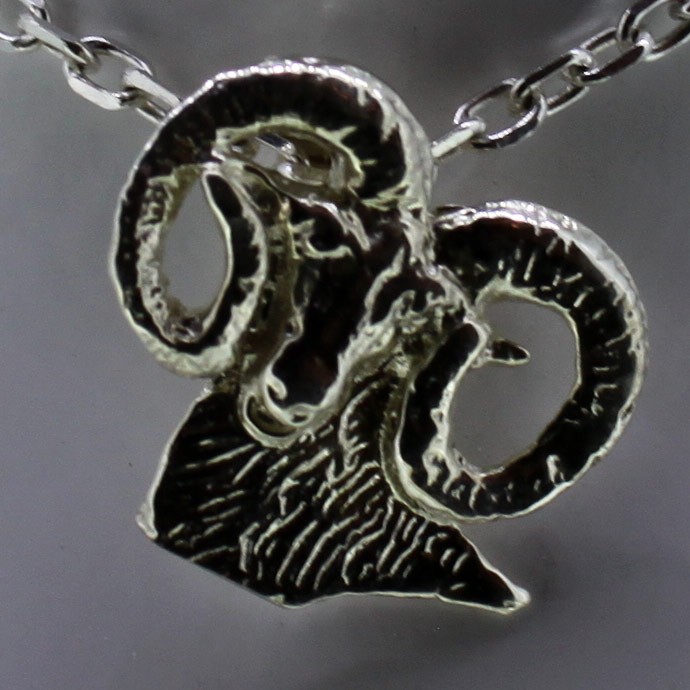 Mouflon argent n°3